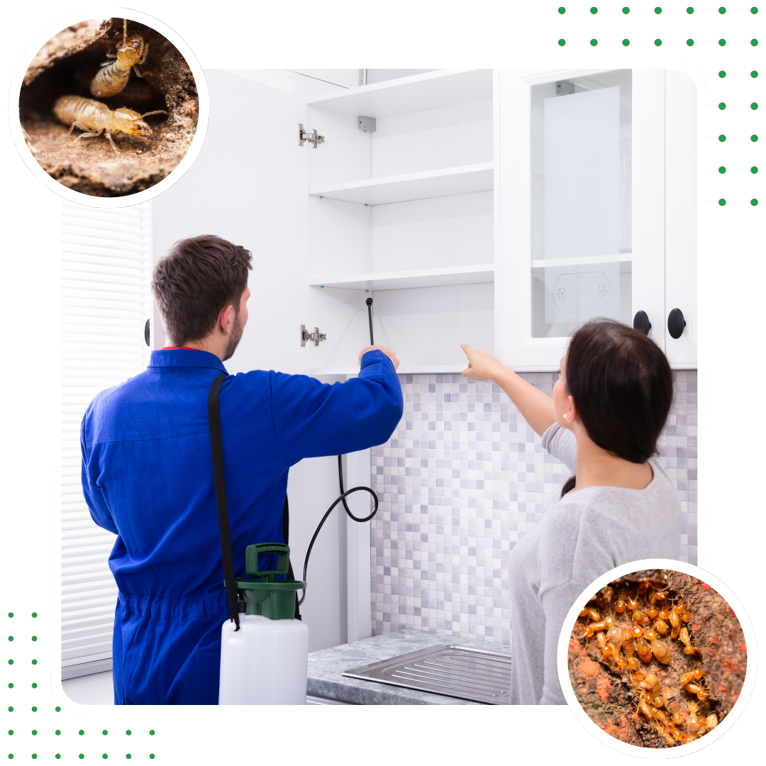 EZ Pest Control (17)
