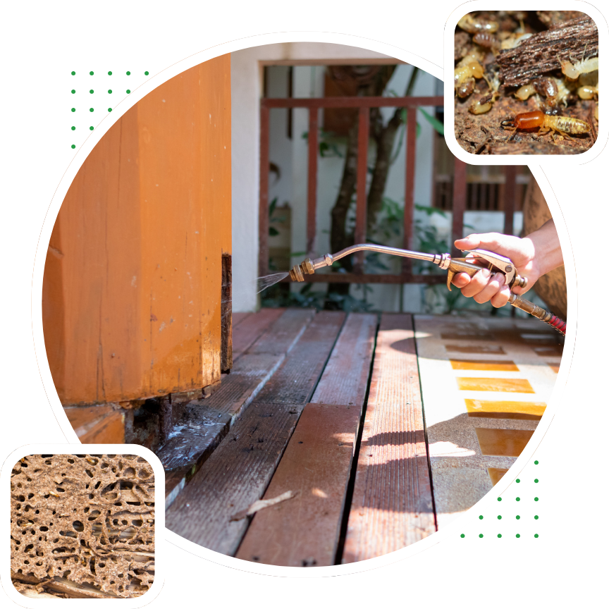 EZ Pest Control (18) (1)