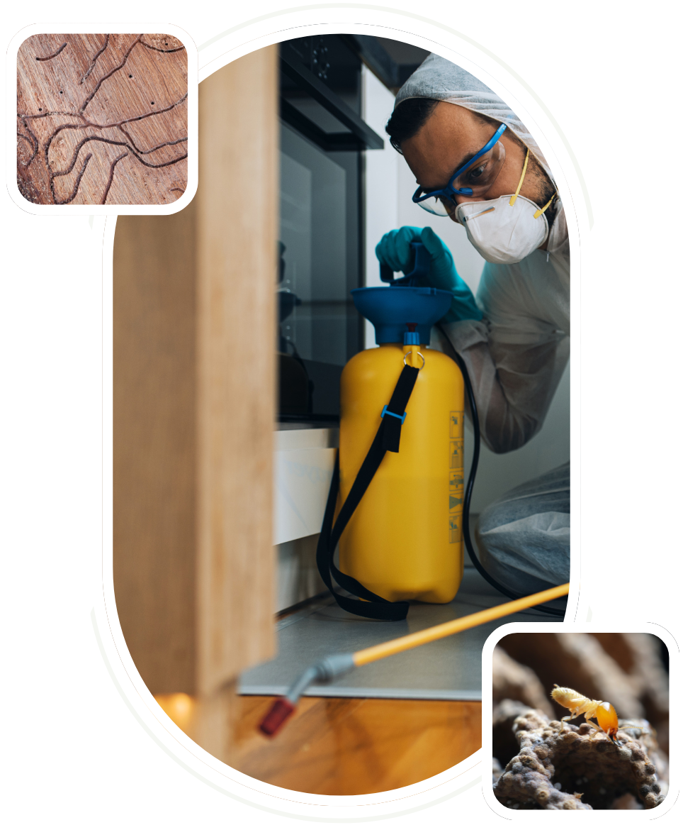 EZ Pest Control (19) (1)