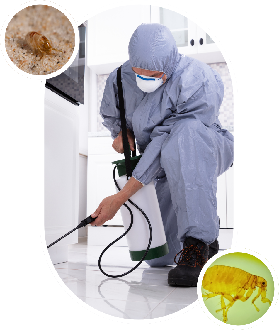 Flea Control