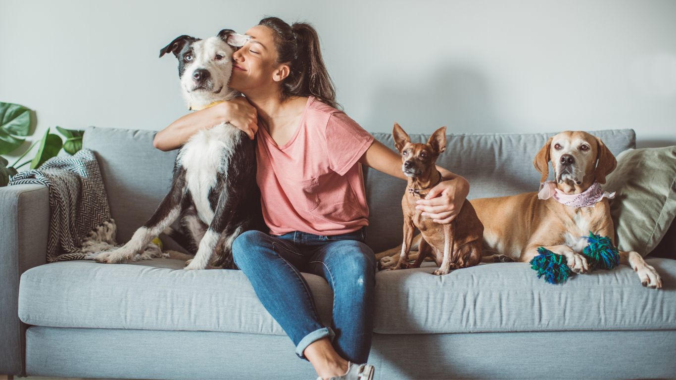 Happy Pets