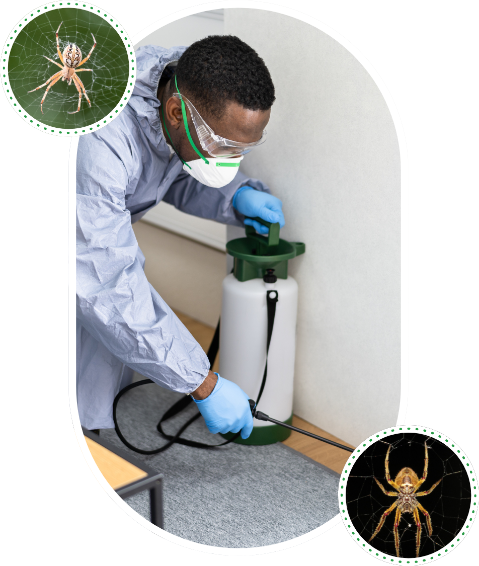 Spider faq